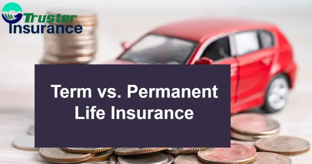 Comparison between term and permanent life insurance options